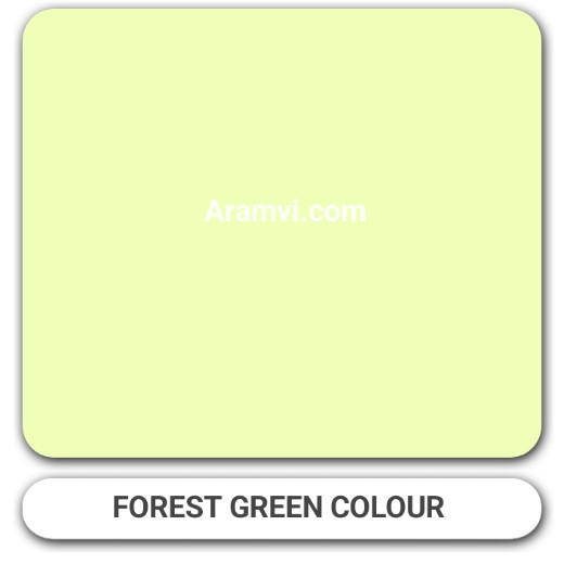 Berger Plastic interior Paint Forest Green 18Ltr