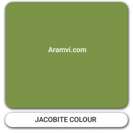 Berger Plastic interior Paint-jacobit Colours 18Ltr