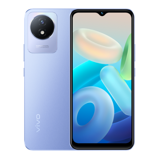 VivoX 80