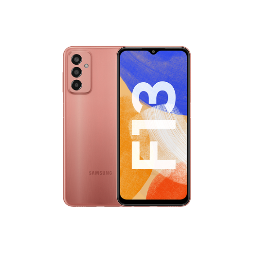 Samsung Galaxy F13 (4/64 GB)