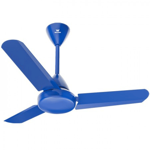 Walton Ceiling Fan 36"  Tulip