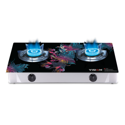 VSN LPG Double Glass Gstv Fancy