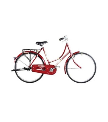 Duranta Steel 1-Spd Durjoy Ladies 26" Bicycle