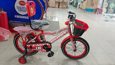 Duranta Avenger Premier 16 Inch Bicycle