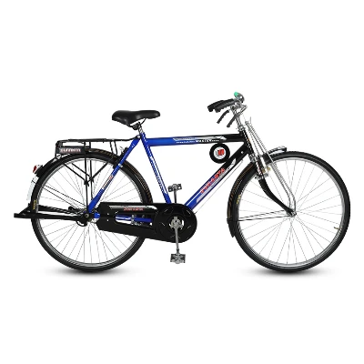Duranta Steel 1-Spd Master 26" Blue Bicycle