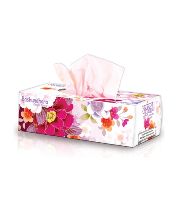 Bashundhara Facial Tissue 100x2 Sheet