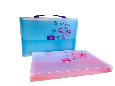 GOOD LUCK Document Case