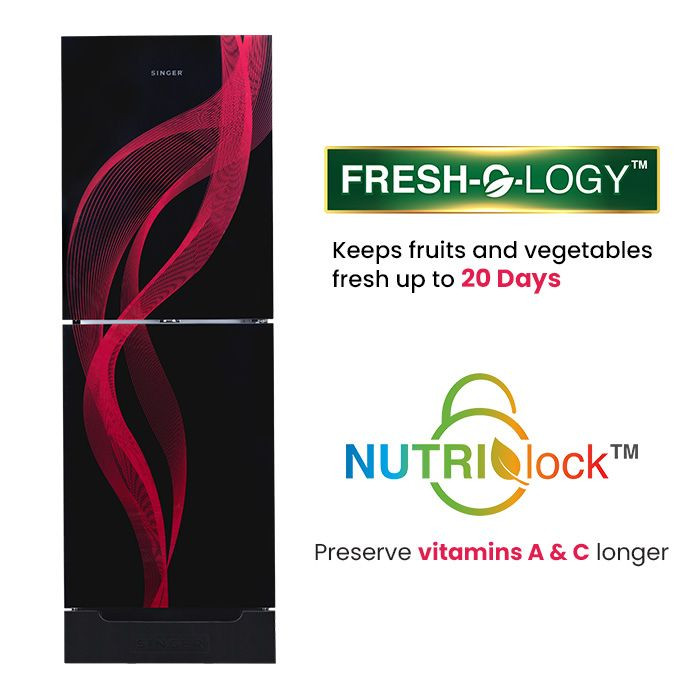 SINGER Bottom Mount Refrigerator | 260 Ltr | FBDS260Z-BG | BLACK