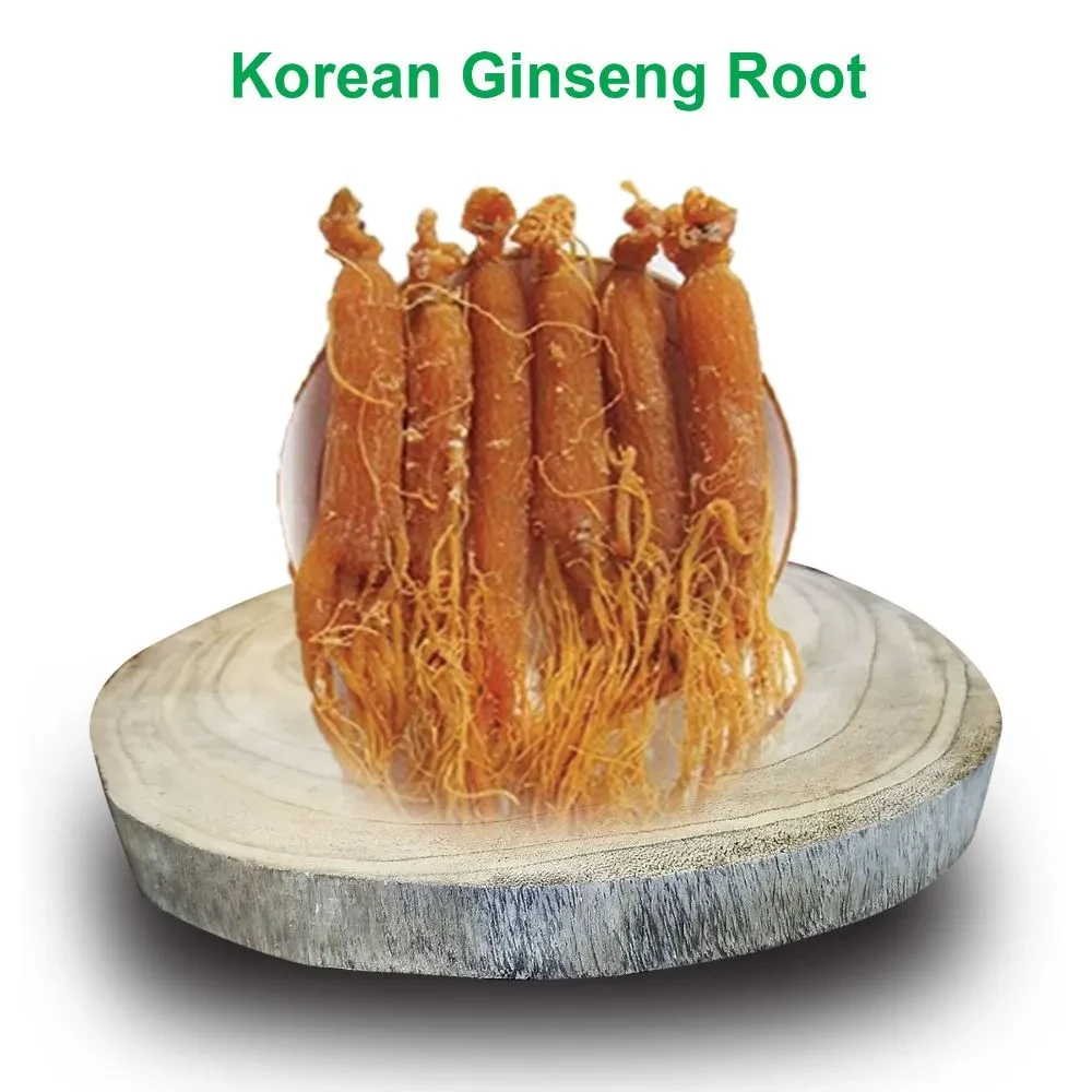 Rongdhonu Korean Ginseng Root 1'Pcs (কোরিয়ান জিনসেং মূল)